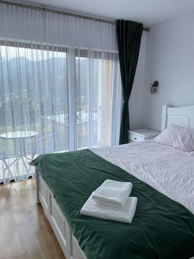 Silver Mountain Villa Colibiţa Eksteriør bilde